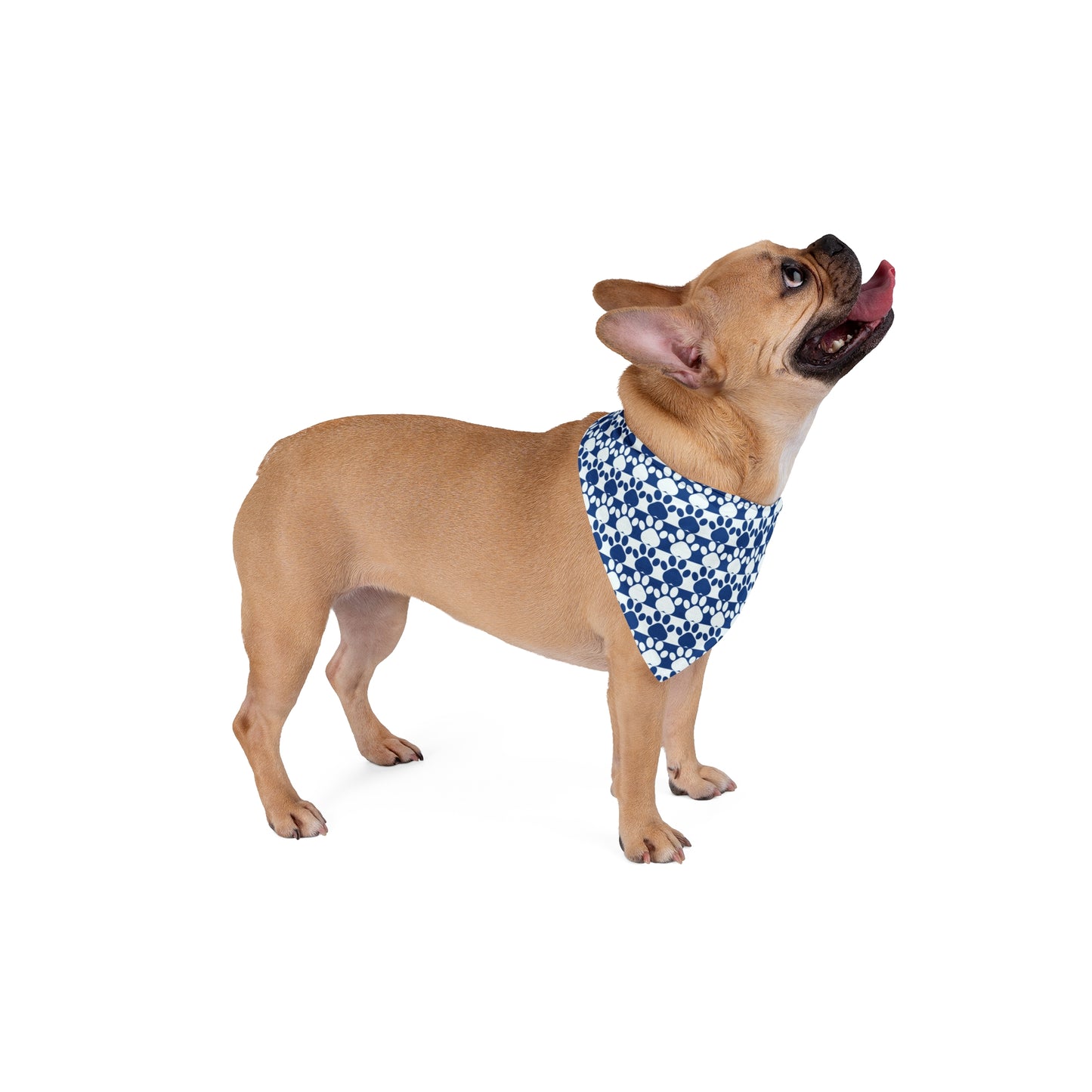 Stylish Pet Bandana Dog Scarf Cat Accessory Bowtie Bandana Pet Fashion Gift for Pet Lovers