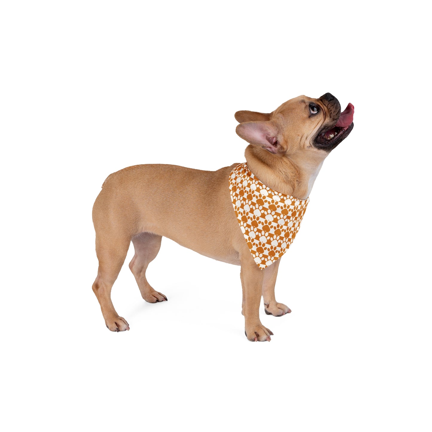 Stylish Pet Bandana Dog Scarf Cat Accessory Bowtie Bandana Pet Fashion Gift for Pet Lovers