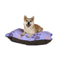 Pawsitive Pet Bed for Comfortable and Cozy Pets