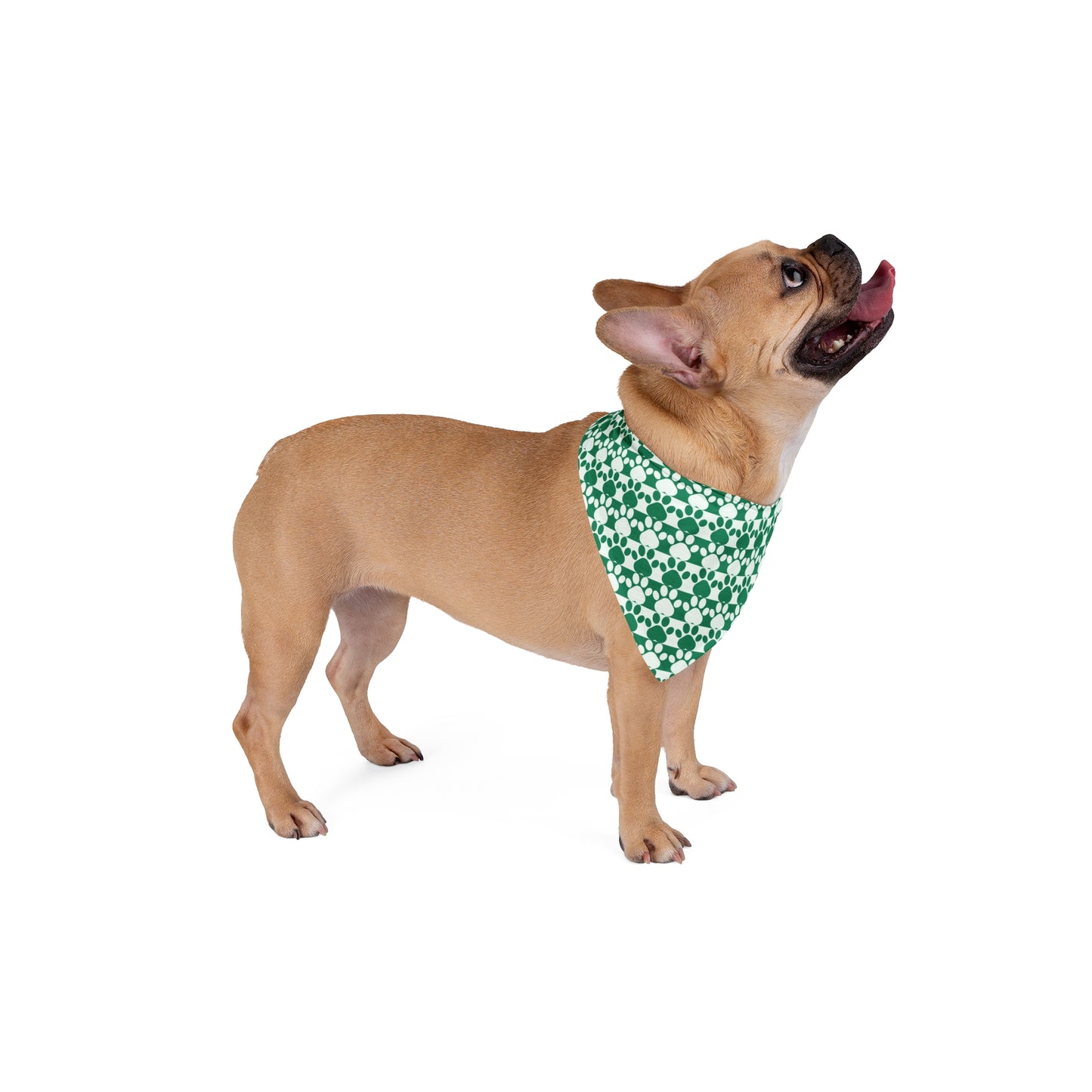 Stylish Pet Bandana Dog Scarf Cat Accessory Bowtie Bandana Pet Fashion Gift for Pet Lovers