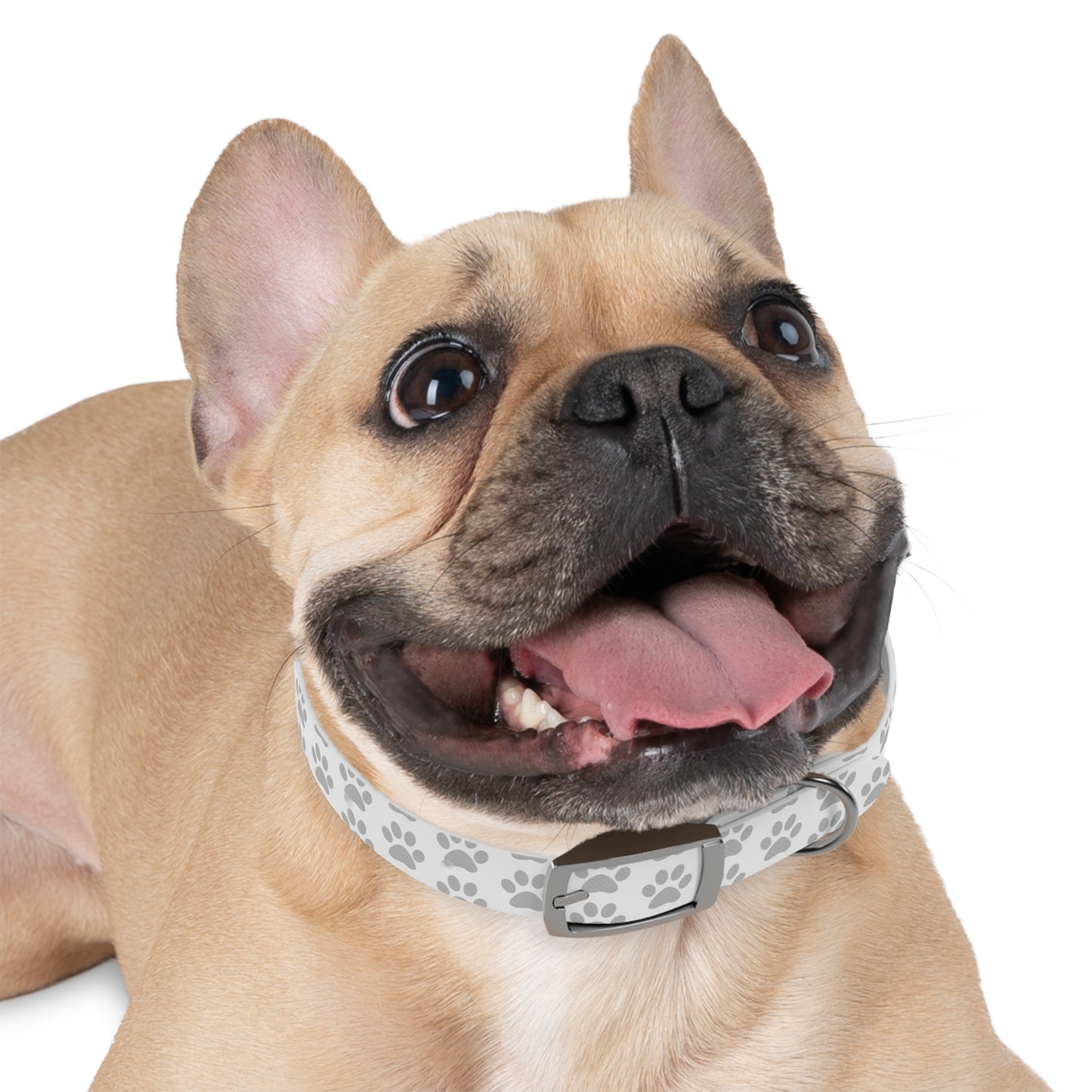 Stylish Dog Collar with Paw Print Design
