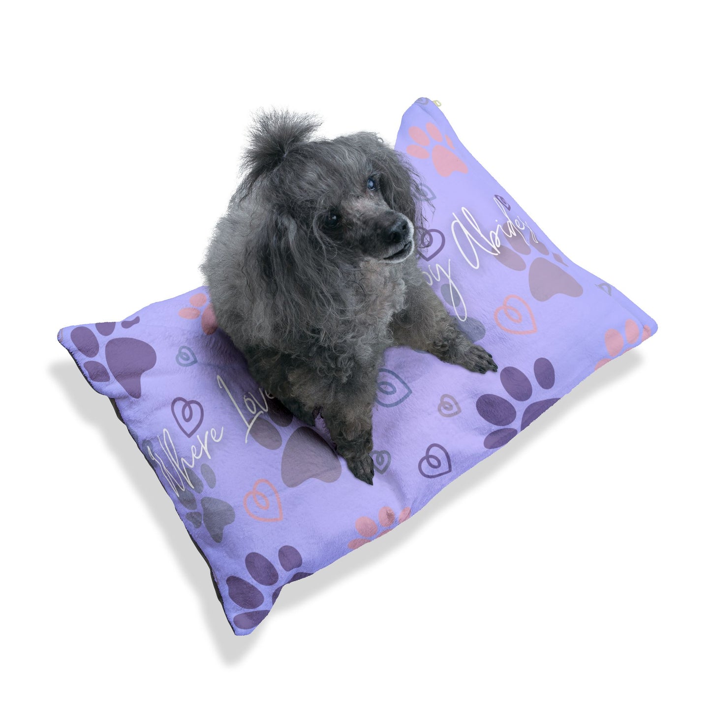 Pawsitive Pet Bed for Comfortable and Cozy Pets