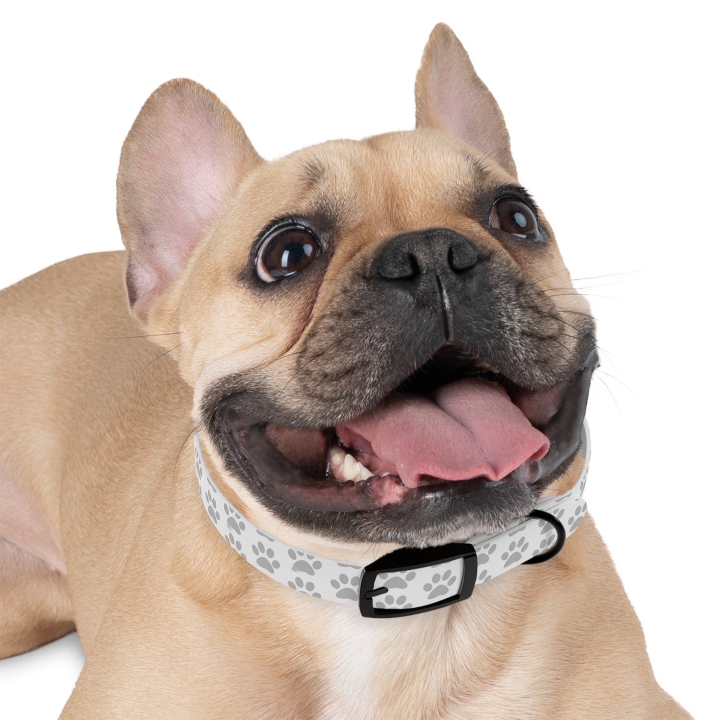 Stylish Dog Collar with Paw Print Design
